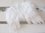 FEDER-FLÜGEL Engelsflügel weiß 5cm Anhänger Weihnachtsbaum Deko Weihnachten Shabby