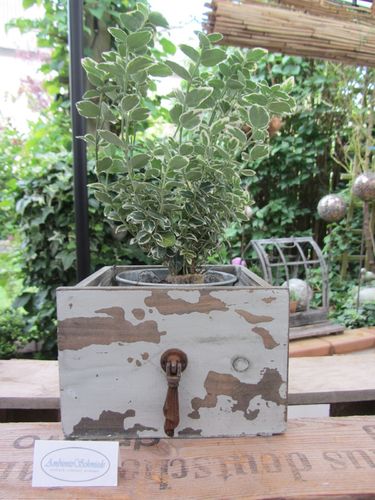 Holz Pflanz-Schublade zum bepflanzen grau Deko Garten Vintage Shabby k